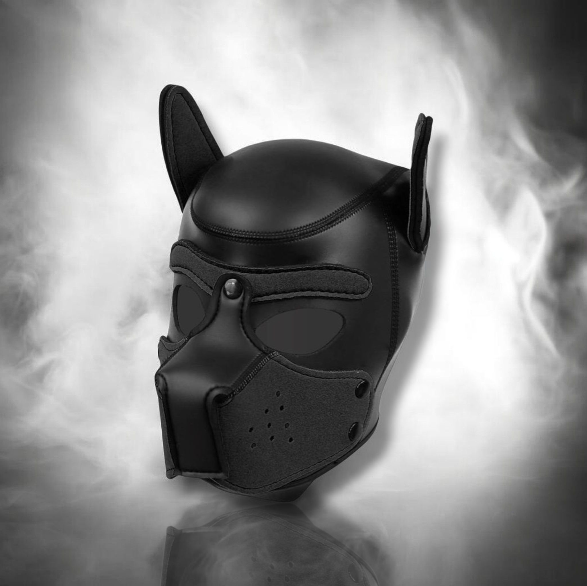 INTOYOU bdsm line - Masque Puppy en néoprène avec museau amovible