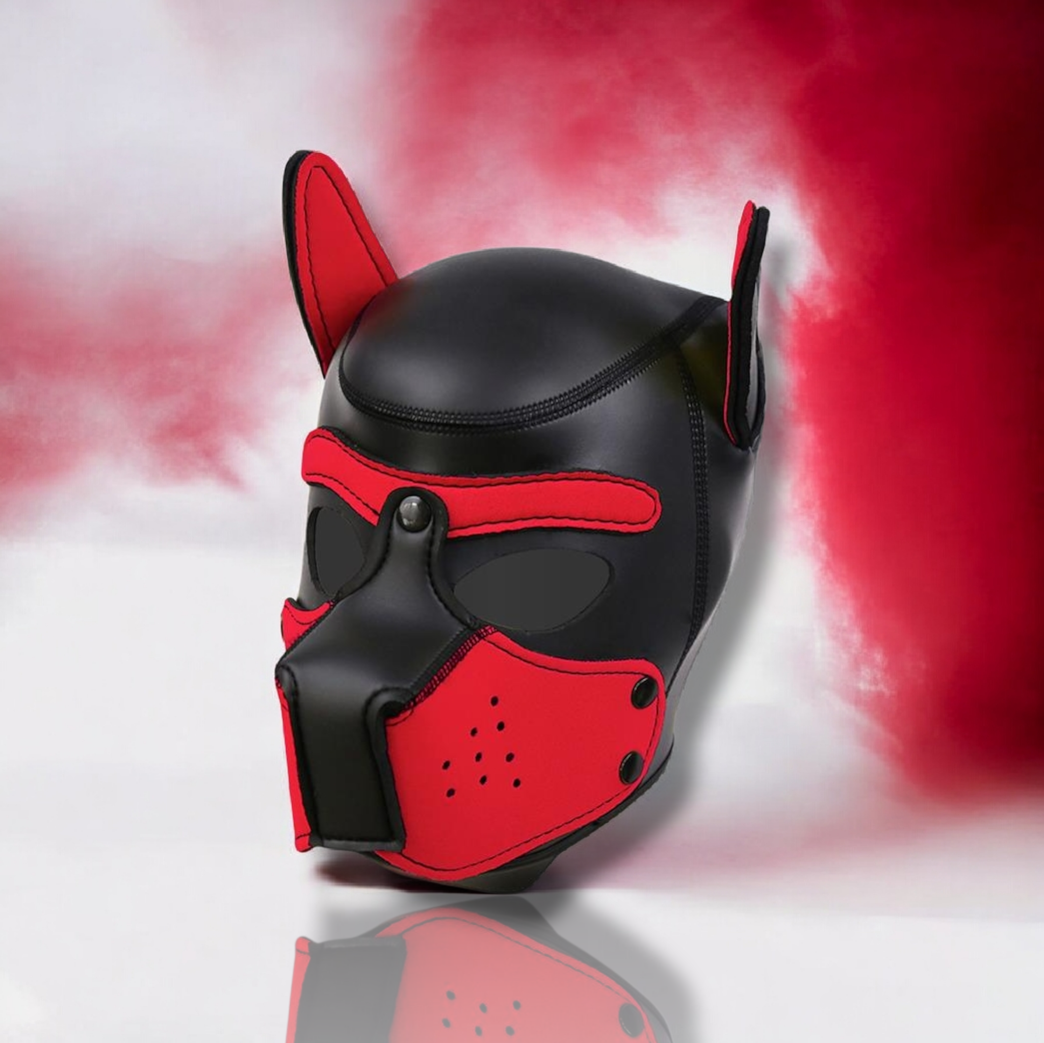 INTOYOU bdsm line - Masque Puppy en néoprène avec museau amovible