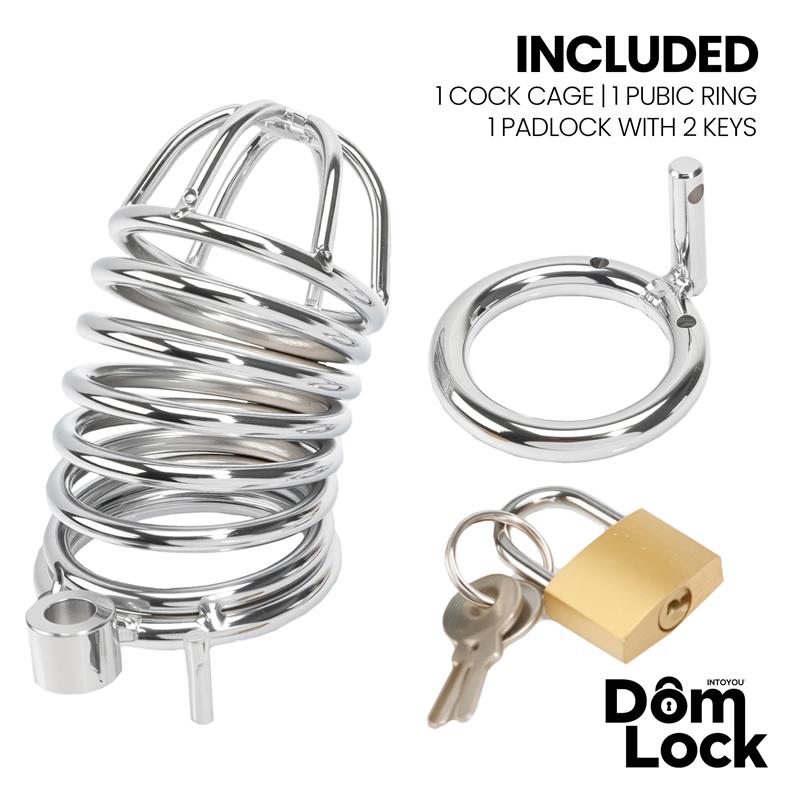 Cage de chasteté métallique DOMLOCK Warden